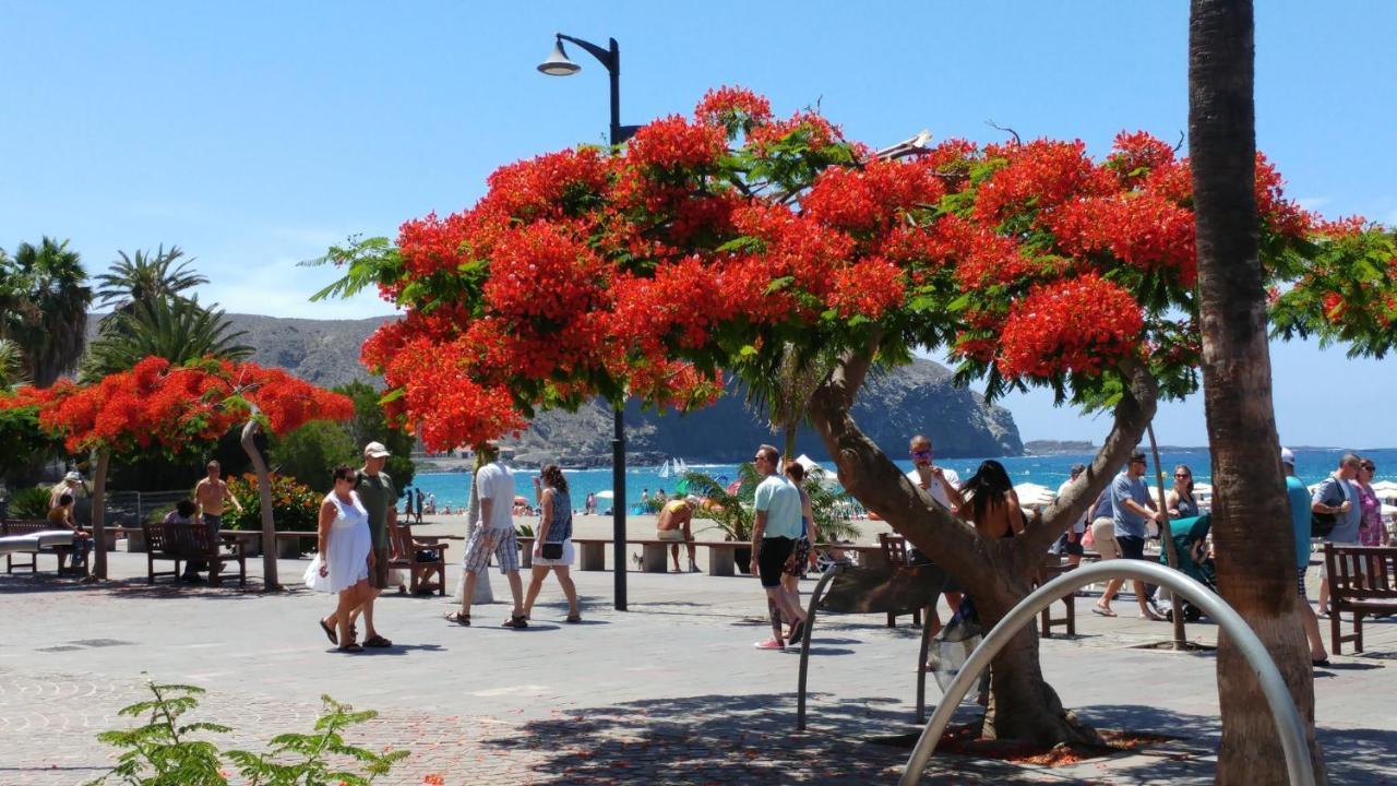 Playa De Cristianos Casa Adriano Prázdninový dům Los Cristianos (Tenerife)